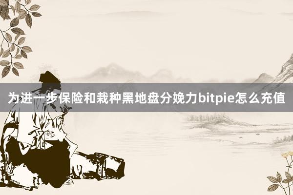 为进一步保险和栽种黑地盘分娩力bitpie怎么充值