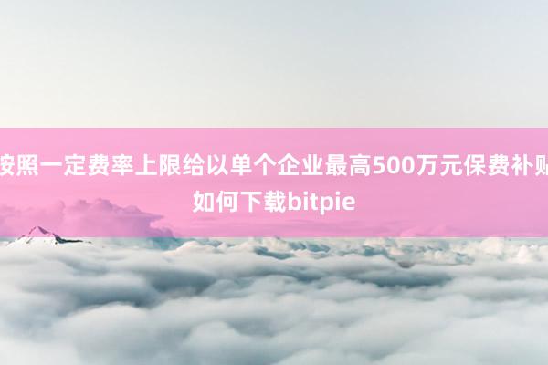 按照一定费率上限给以单个企业最高500万元保费补贴如何下载bitpie