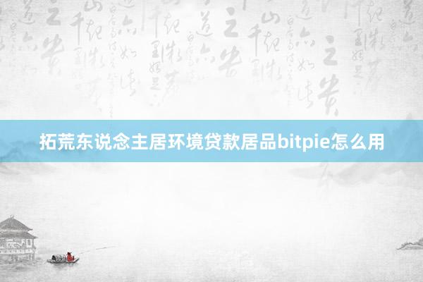 拓荒东说念主居环境贷款居品bitpie怎么用