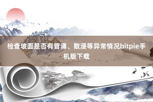 检查坡面是否有管涌、散浸等异常情况bitpie手机版下载