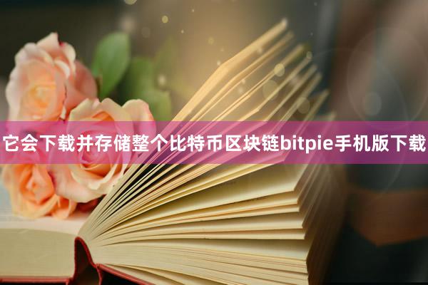 它会下载并存储整个比特币区块链bitpie手机版下载