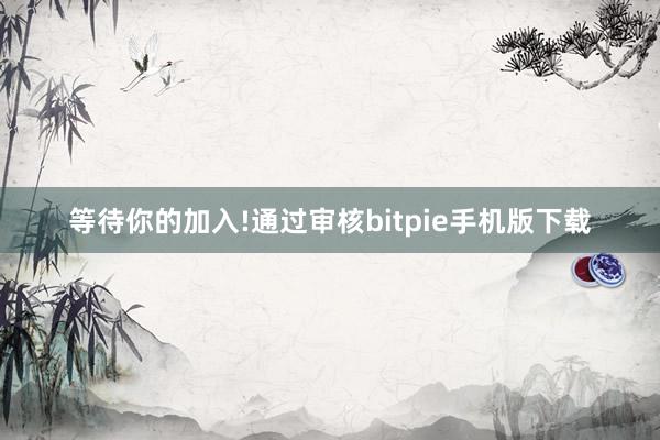 等待你的加入!通过审核bitpie手机版下载