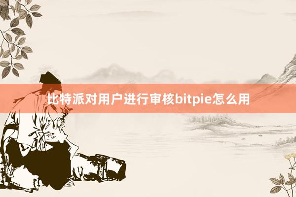 比特派对用户进行审核bitpie怎么用