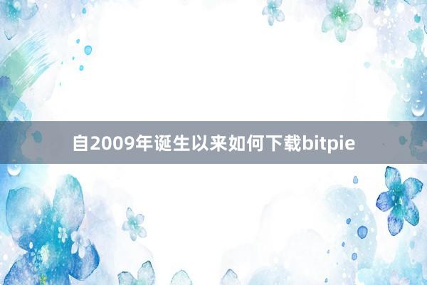 自2009年诞生以来如何下载bitpie