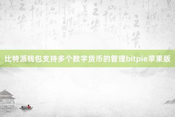 比特派钱包支持多个数字货币的管理bitpie苹果版