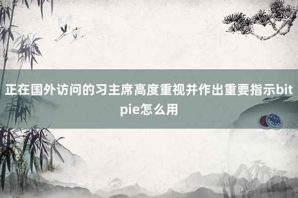 正在国外访问的习主席高度重视并作出重要指示bitpie怎么用