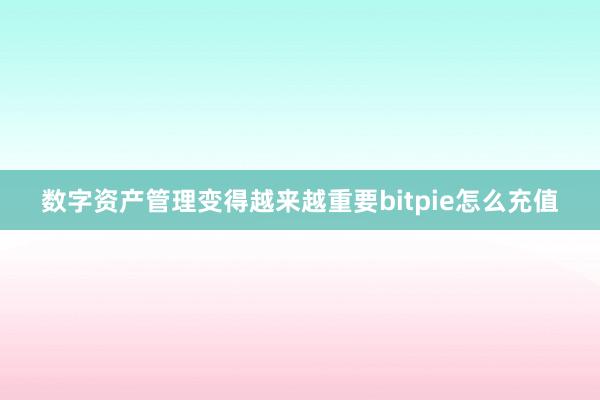 数字资产管理变得越来越重要bitpie怎么充值