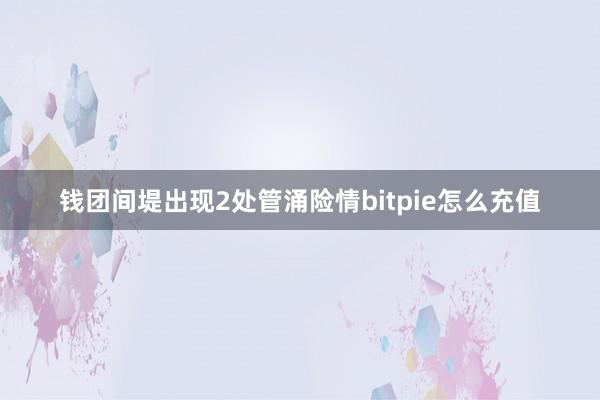 钱团间堤出现2处管涌险情bitpie怎么充值