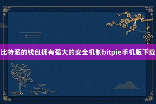 比特派的钱包拥有强大的安全机制bitpie手机版下载