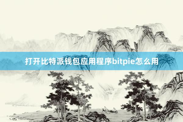 打开比特派钱包应用程序bitpie怎么用