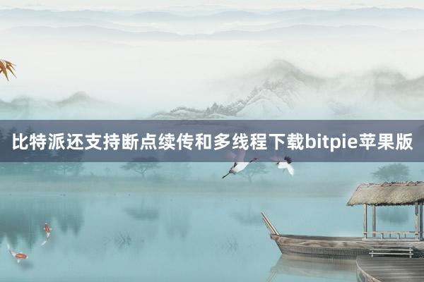 比特派还支持断点续传和多线程下载bitpie苹果版