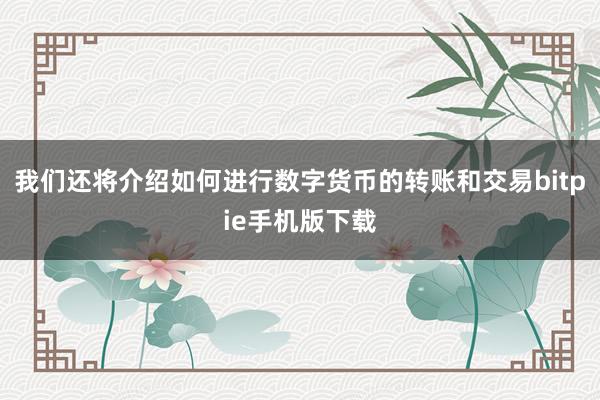 我们还将介绍如何进行数字货币的转账和交易bitpie手机版下载