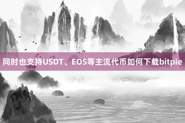 同时也支持USDT、EOS等主流代币如何下载bitpie