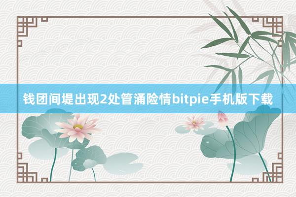 钱团间堤出现2处管涌险情bitpie手机版下载