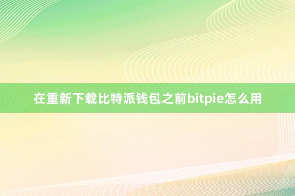 在重新下载比特派钱包之前bitpie怎么用