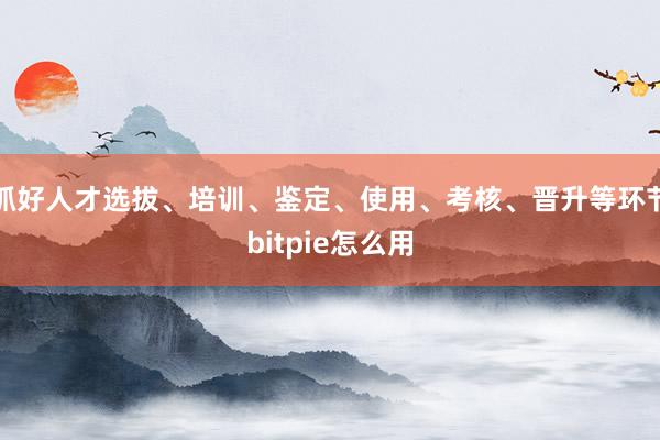 抓好人才选拔、培训、鉴定、使用、考核、晋升等环节bitpie怎么用