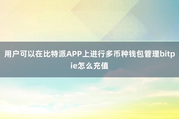 用户可以在比特派APP上进行多币种钱包管理bitpie怎么充值