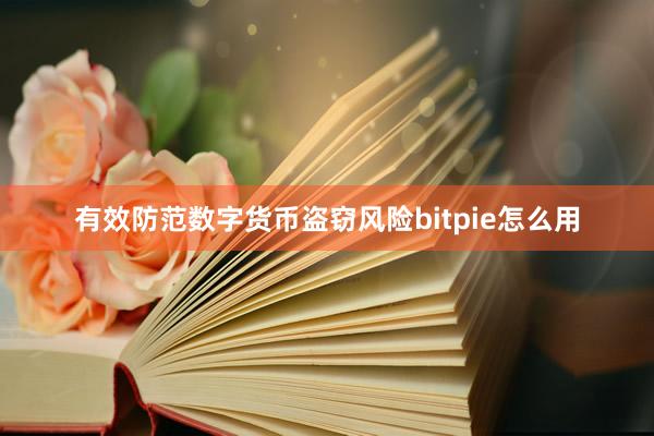 有效防范数字货币盗窃风险bitpie怎么用