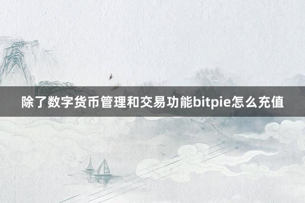 除了数字货币管理和交易功能bitpie怎么充值