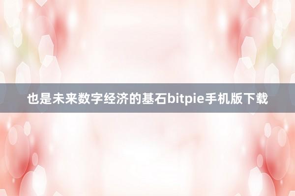 也是未来数字经济的基石bitpie手机版下载