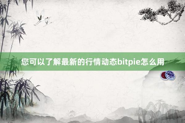 您可以了解最新的行情动态bitpie怎么用