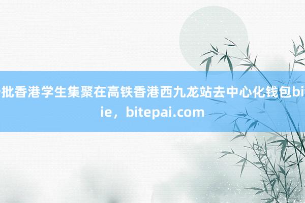 一批香港学生集聚在高铁香港西九龙站去中心化钱包bitpie，bitepai.com