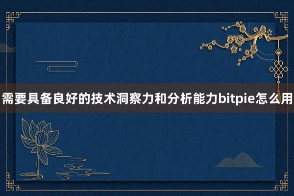 需要具备良好的技术洞察力和分析能力bitpie怎么用