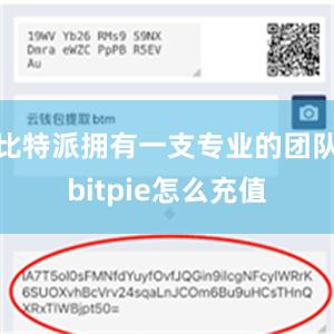 比特派拥有一支专业的团队bitpie怎么充值