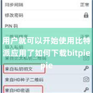 用户就可以开始使用比特派应用了如何下载bitpie