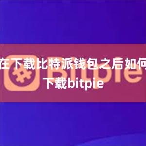 在下载比特派钱包之后如何下载bitpie