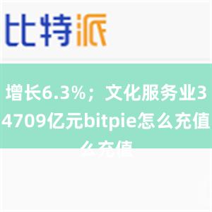 增长6.3%；文化服务业34709亿元bitpie怎么充值