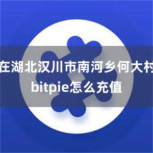 在湖北汉川市南河乡何大村bitpie怎么充值