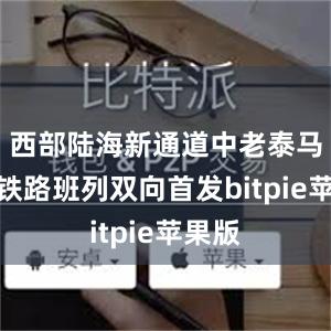 西部陆海新通道中老泰马跨境铁路班列双向首发bitpie苹果版