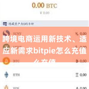 跨境电商运用新技术、适应新需求bitpie怎么充值