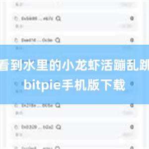 看到水里的小龙虾活蹦乱跳bitpie手机版下载