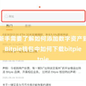 新手需要了解如何添加数字资产到Bitpie钱包中如何下载bitpie