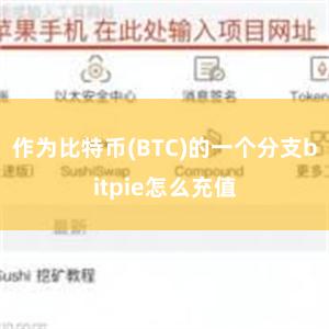 作为比特币(BTC)的一个分支bitpie怎么充值