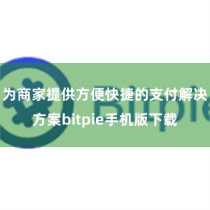 为商家提供方便快捷的支付解决方案bitpie手机版下载