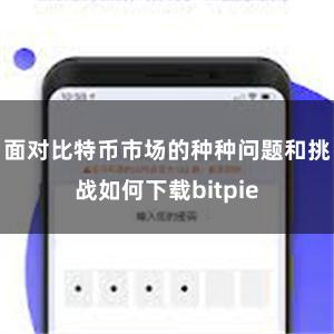 面对比特币市场的种种问题和挑战如何下载bitpie