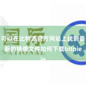 可以在比特派官方网站上找到最新的镜像文件如何下载bitpie